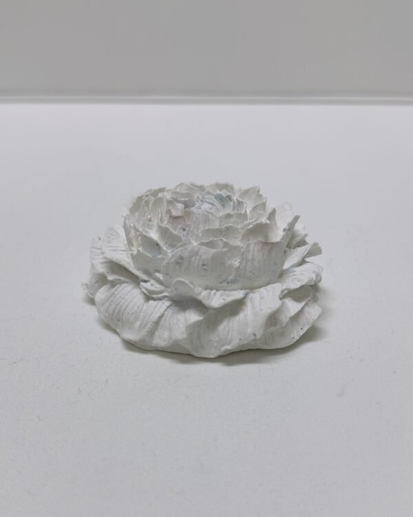 Flor Grande - Image 7