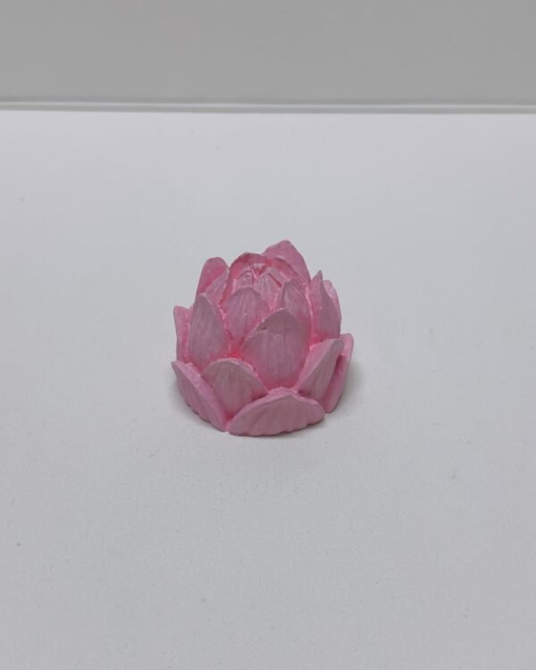 Flor - Image 3