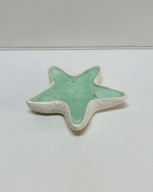 Estrela do Mar com Cera - Image 3