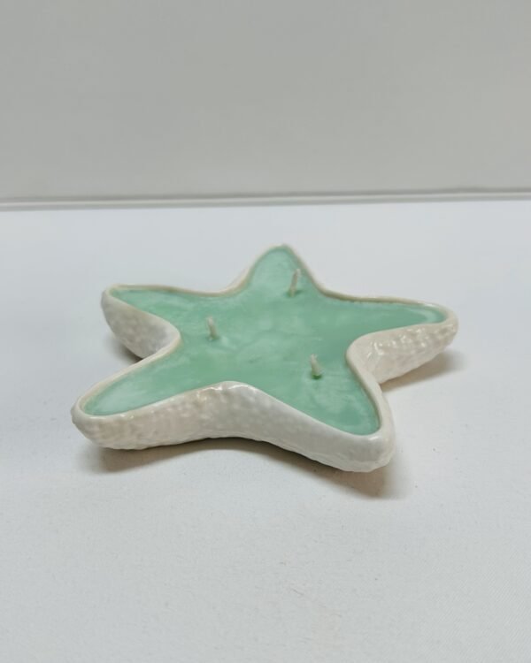 Estrela do Mar com Cera - Image 4