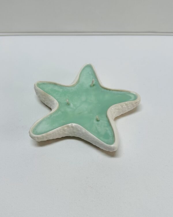 Estrela do Mar com Cera - Image 5