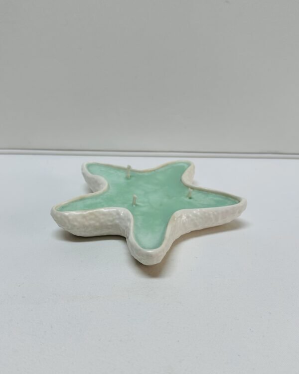 Estrela do Mar com Cera - Image 6