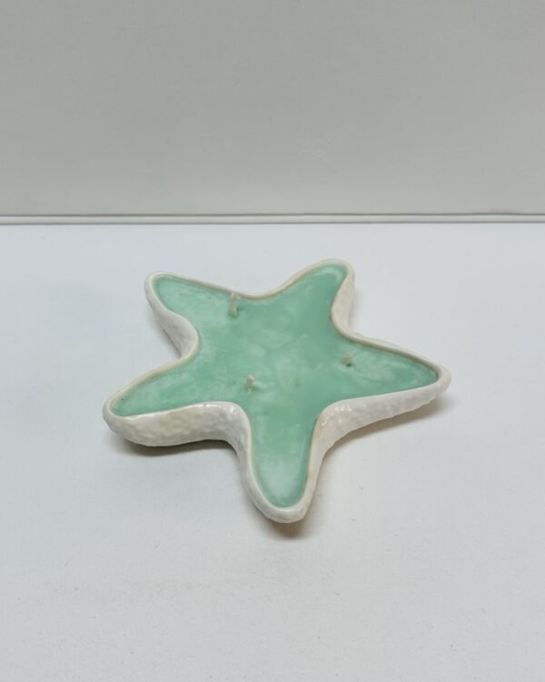 Estrela do Mar com Cera - Image 7