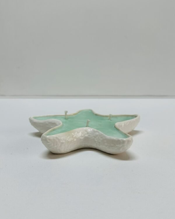 Estrela do Mar com Cera - Image 8