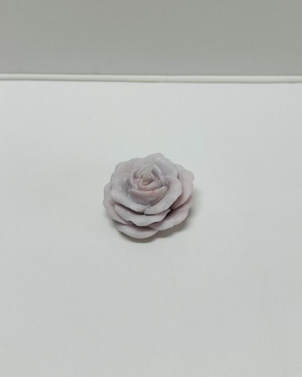 Rosa em Botão - Image 4