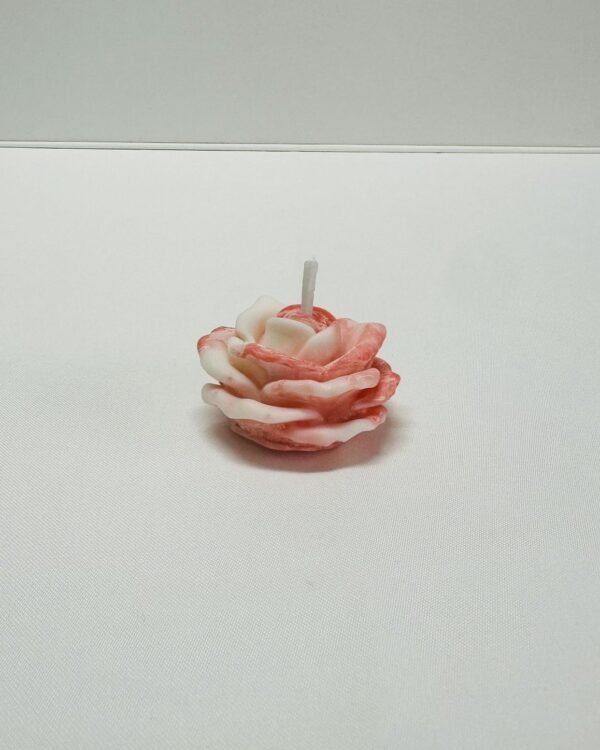 Rosa em Botão - Image 2