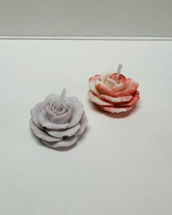 Rosa em Botão - Image 3