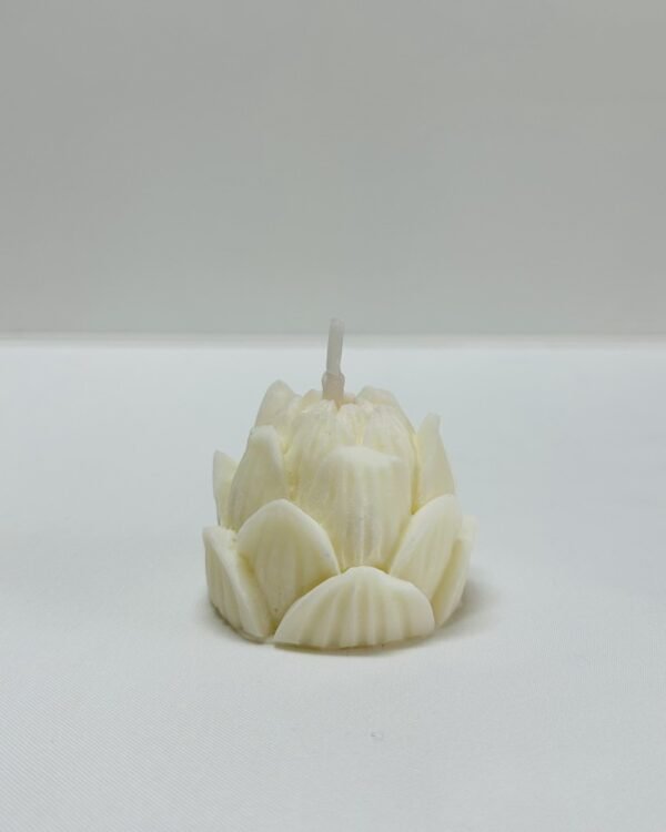 Flor - Image 2
