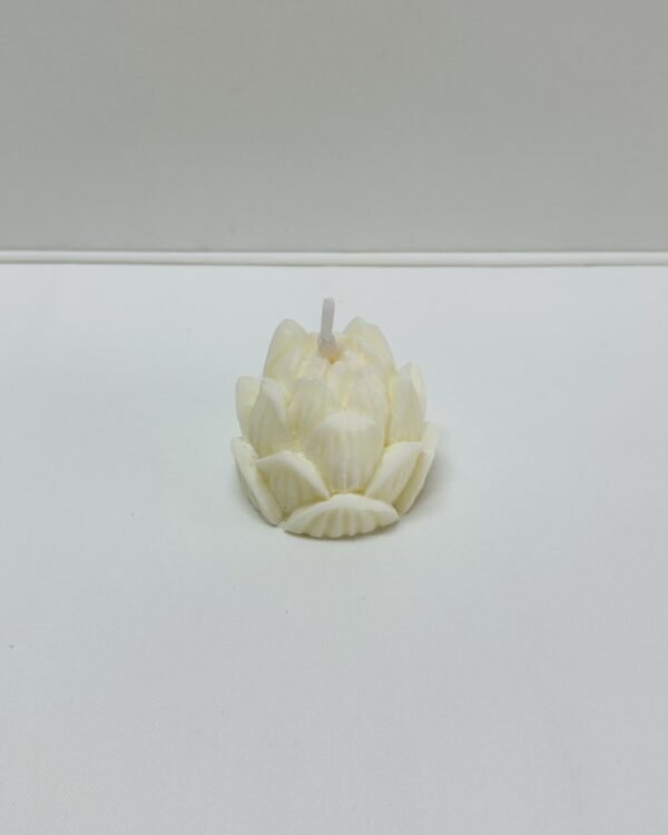 Flor - Image 4