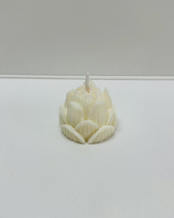 Flor - Image 3