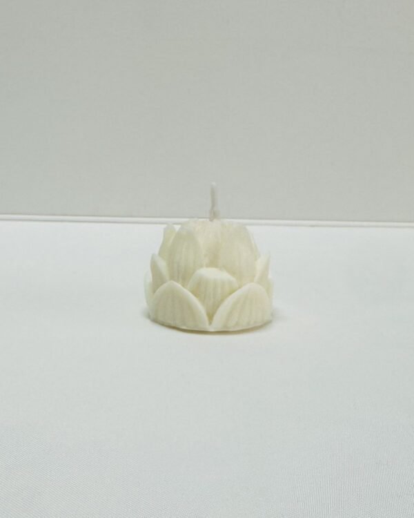 Flor - Image 5