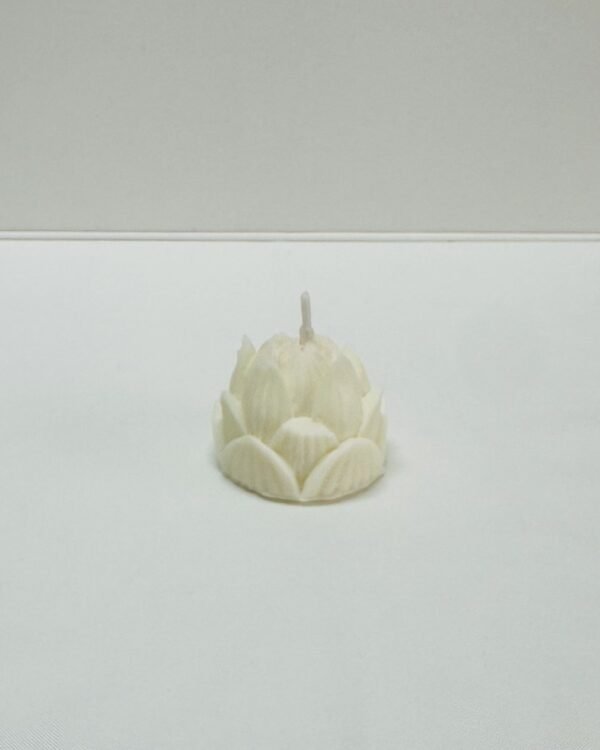 Flor - Image 6