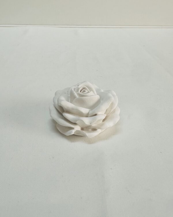 Rosa em Botão - Image 2