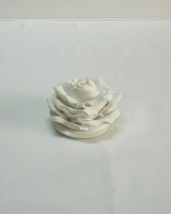 Rosa em Botão - Image 4